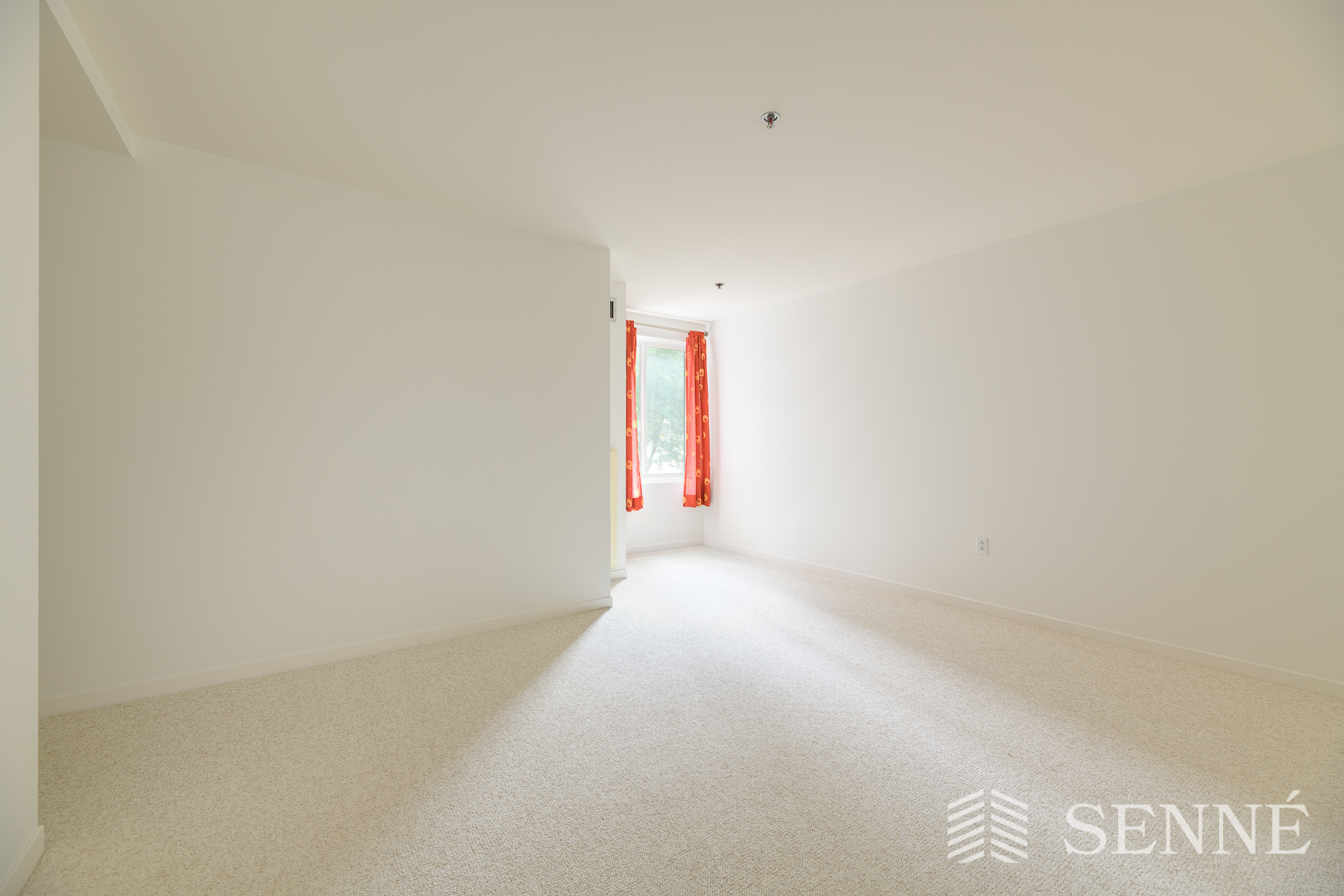 950 Massachusetts Ave, Harvard Square