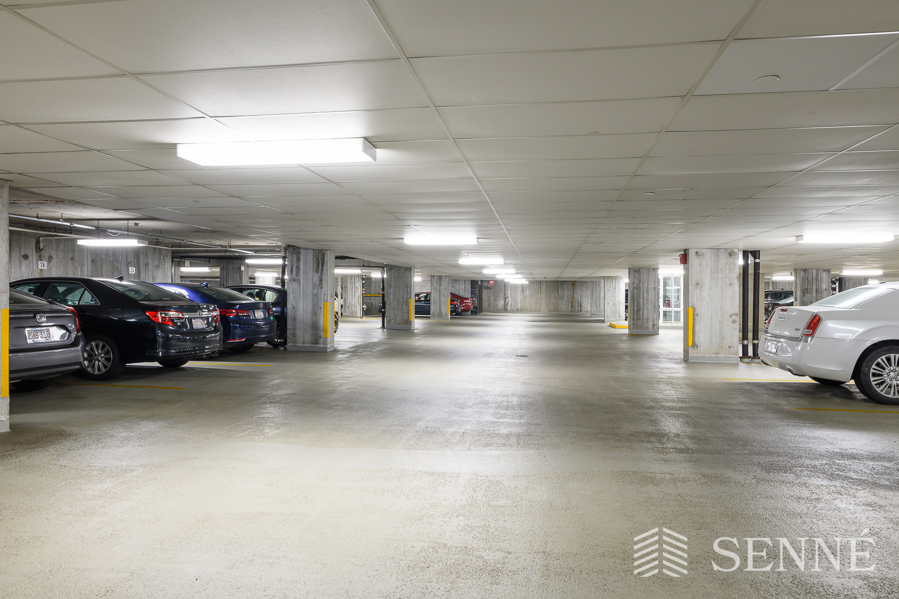 950 Massachusetts Ave, Harvard Square