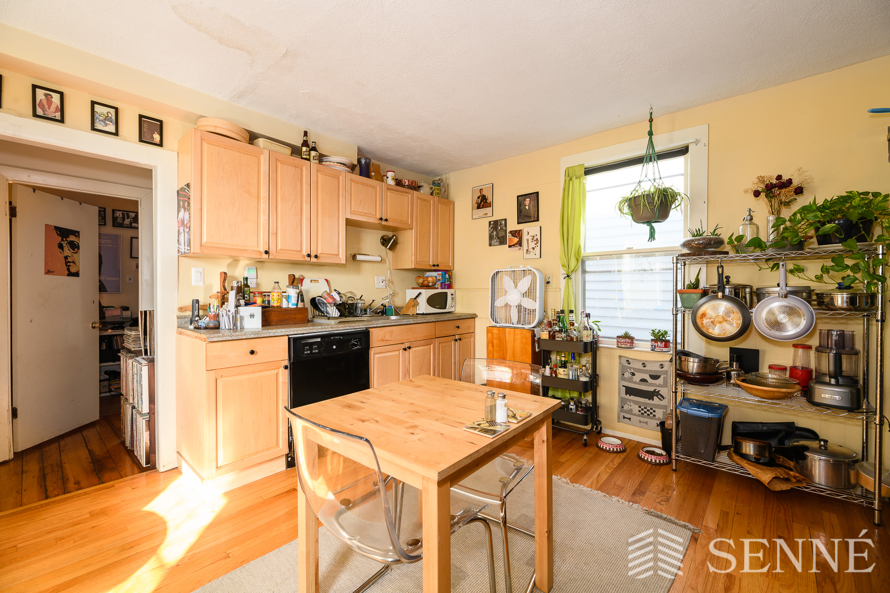 352 Norfolk St, Wellington-Harrington