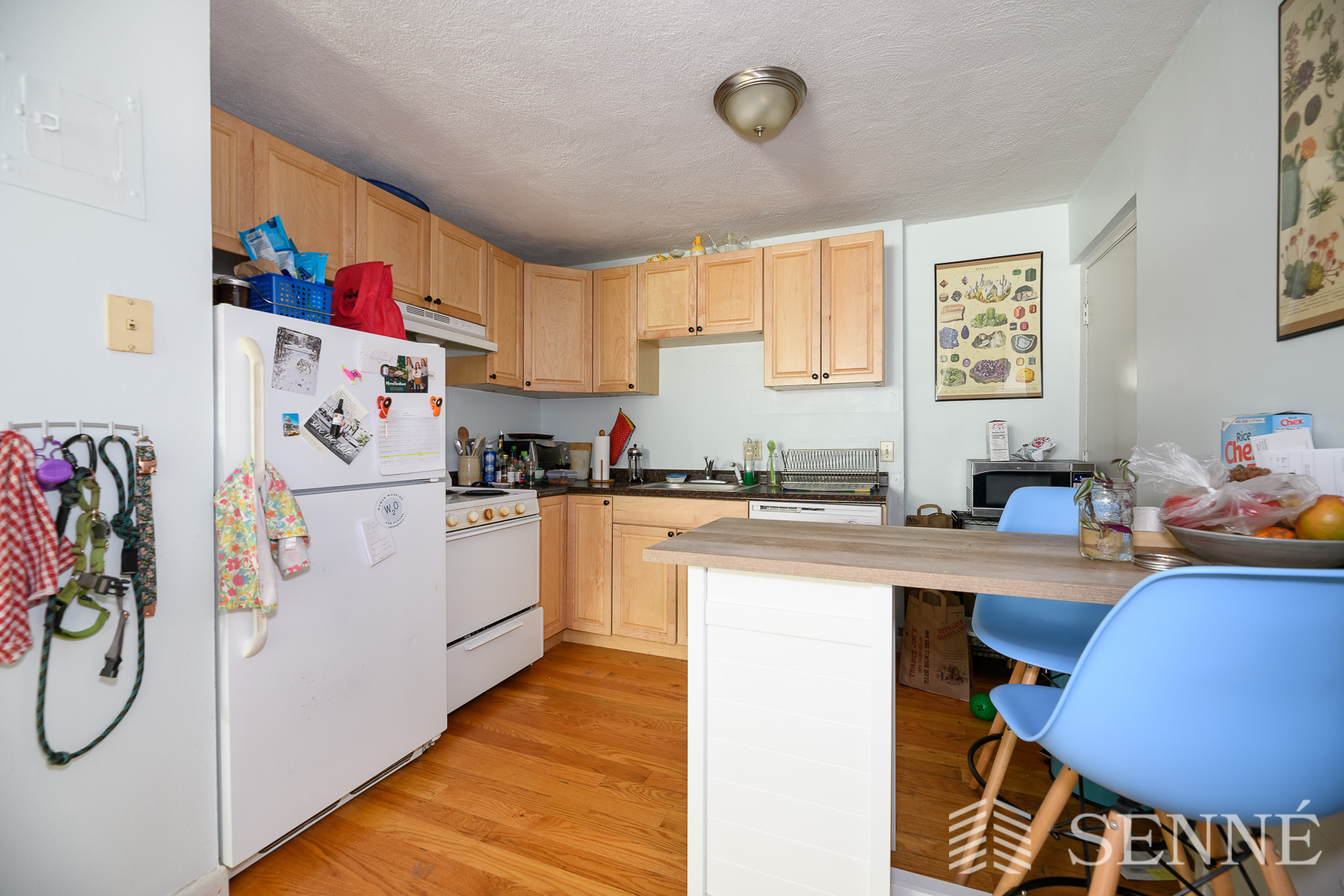 259 Summer St, Spring Hill