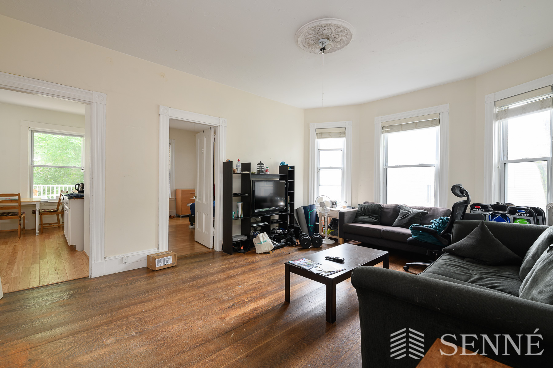 19 Trowbridge St, Harvard Square