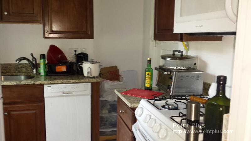 3 Linnaean St, Neighborhood Nine