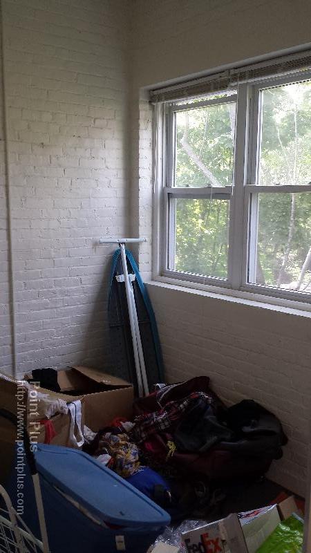 3 Linnaean St, Neighborhood Nine