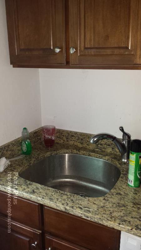 3 Linnaean St, Neighborhood Nine