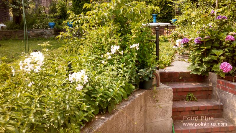 53 Main St, Magoun Square