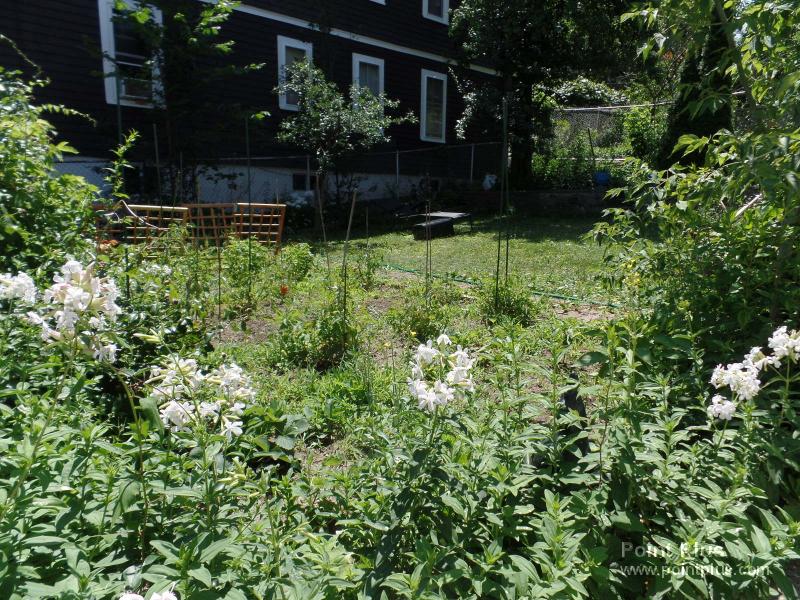 53 Main St, Magoun Square