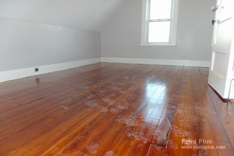 12 Cutter Ave, Davis Square