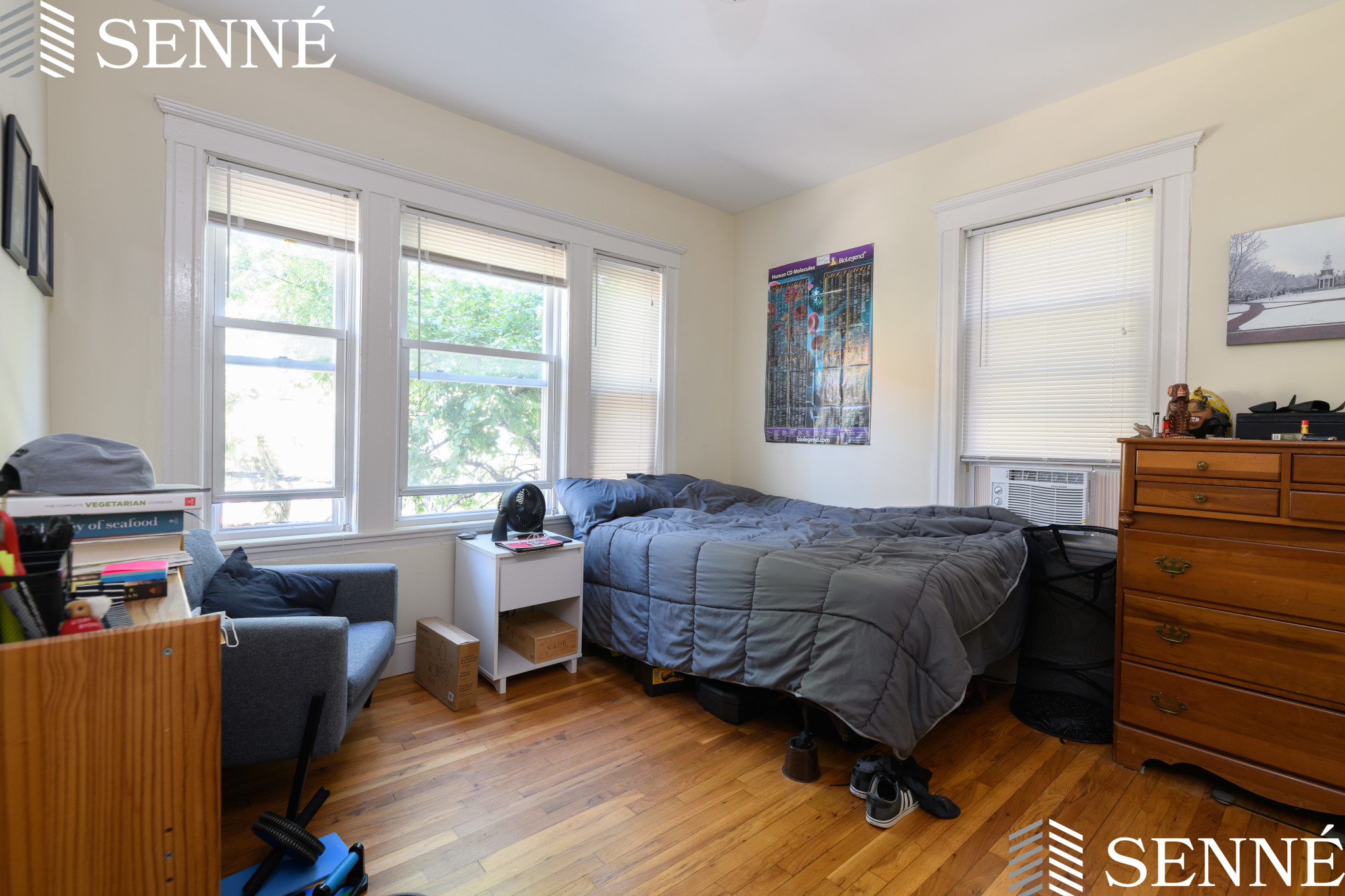 114 Elm St, Mid Cambridge