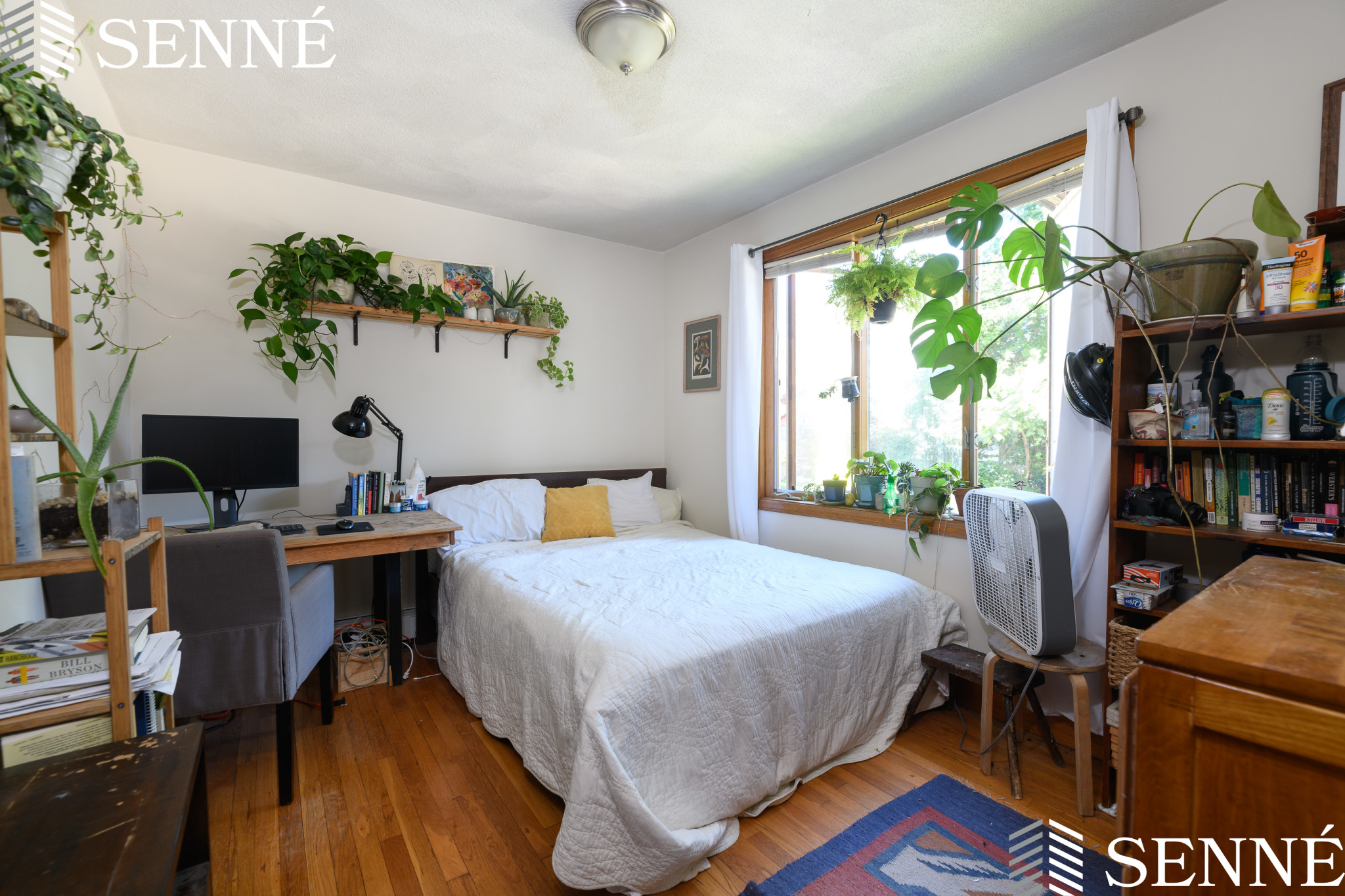 3 bed, 1 bath apartment for rent at 26 Adrian St Unit 1, Somerville — photo 8 of 12