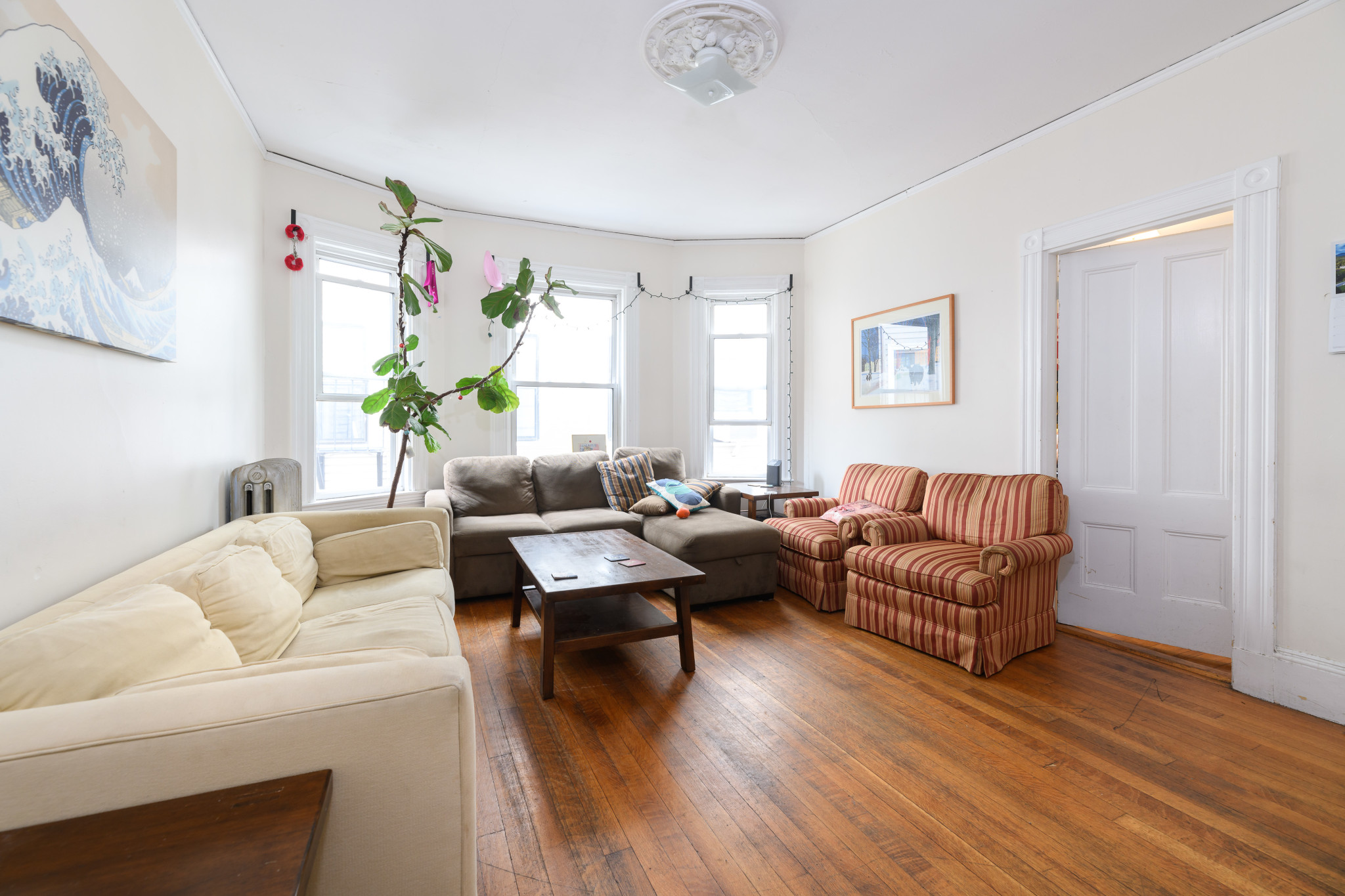 19 Trowbridge St, Harvard Square