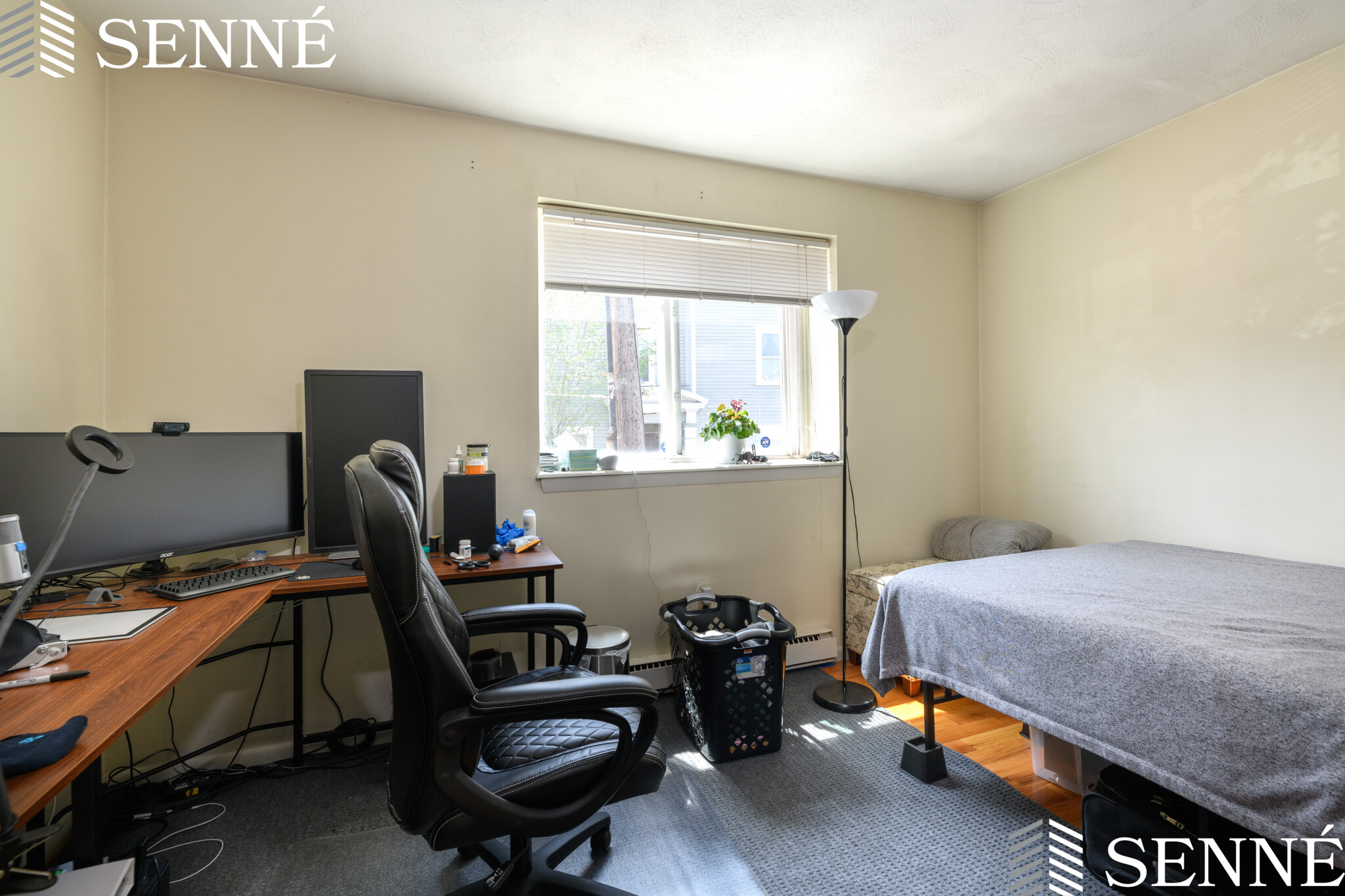 259 Summer St, Spring Hill