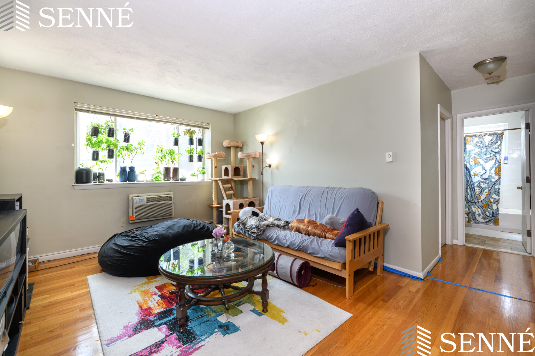 259 Summer St, Spring Hill