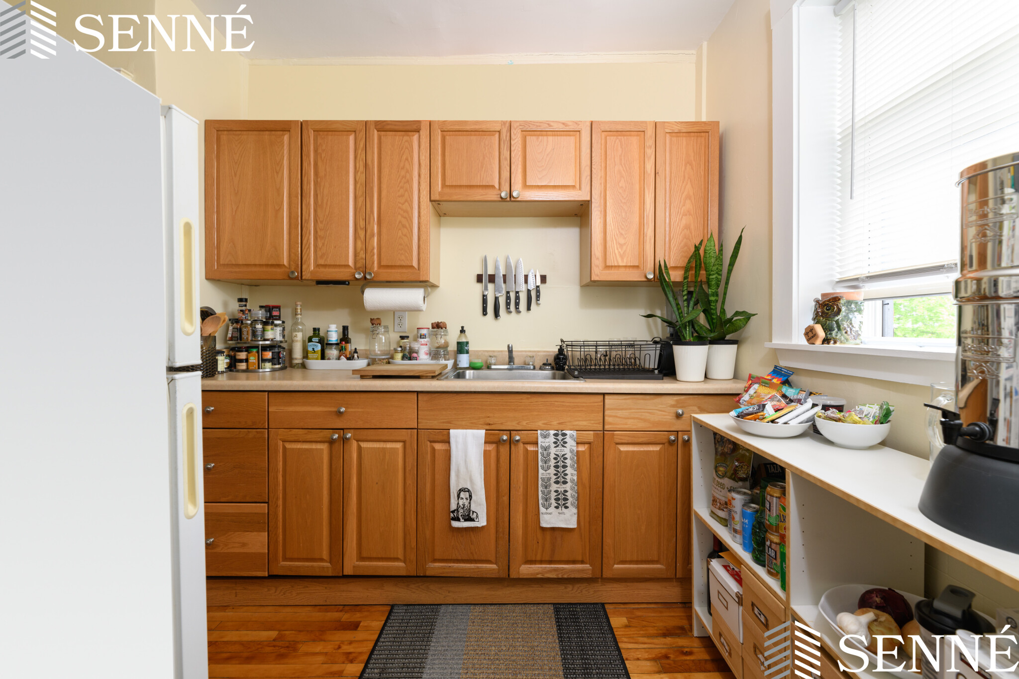 5 Sherborn Ct, Medford