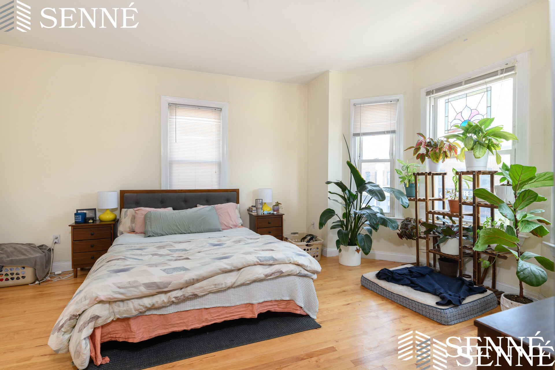 2 bed, 1 bath apartment for rent at 256 Somerville Ave Unit 2, Somerville — photo 6 of 13