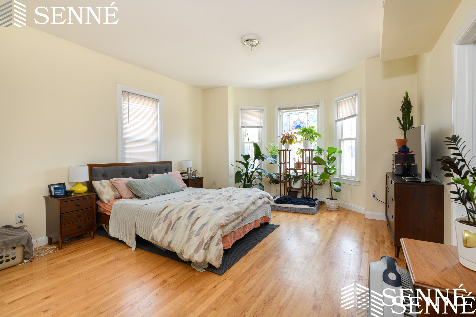 2 bed, 1 bath apartment for rent at 256 Somerville Ave Unit 2, Somerville — photo 5 of 13