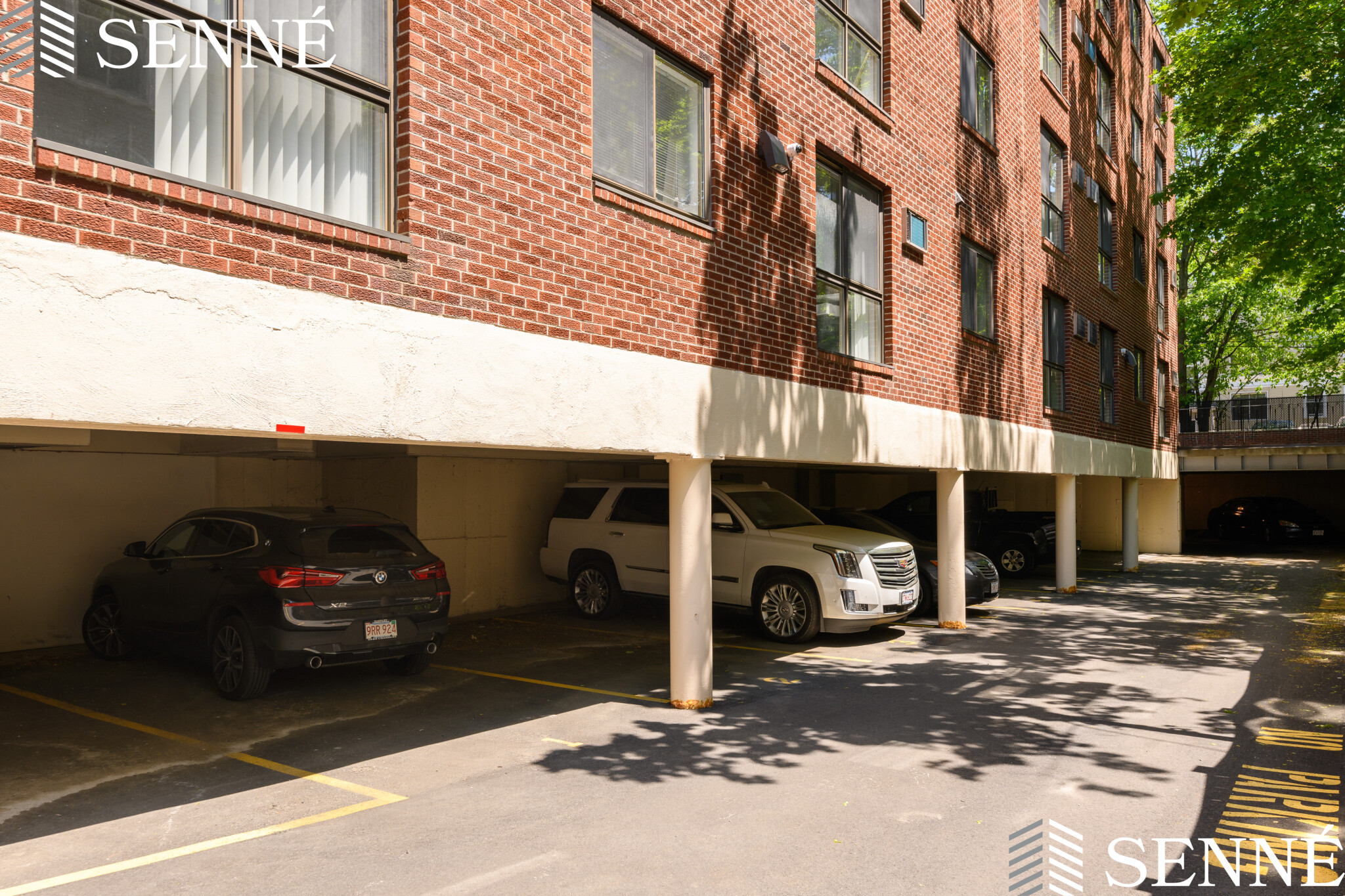 2 bed, 2 bath apartment for rent at 16 Trowbridge Unit 11, Cambridge — photo 11 of 13