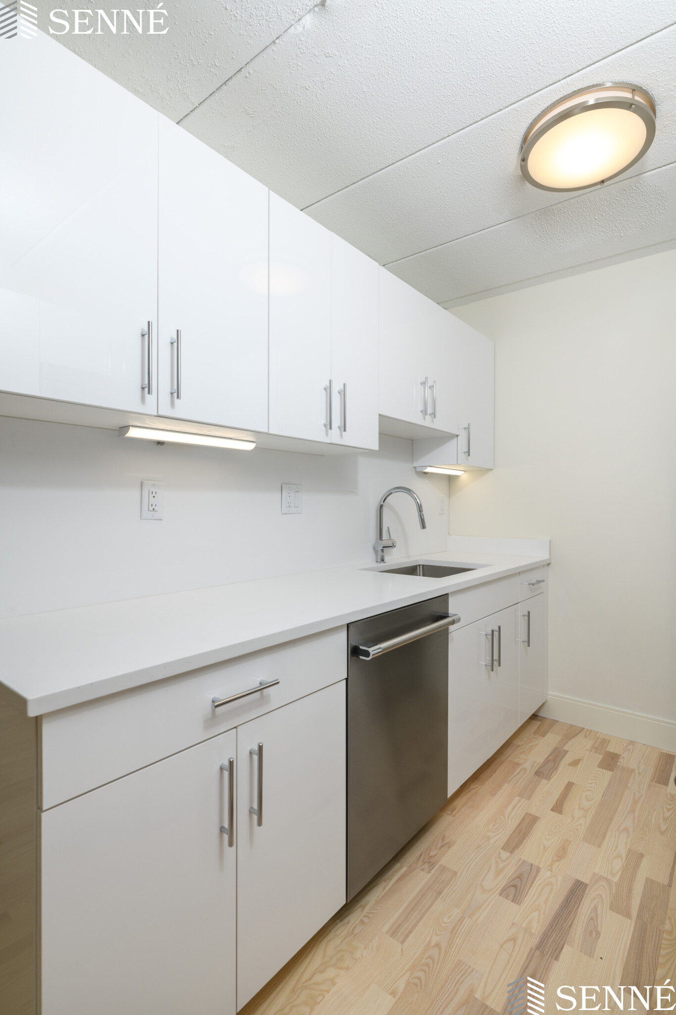 2 bed, 2 bath apartment for rent at 16 Trowbridge Unit 11, Cambridge — photo 2 of 13