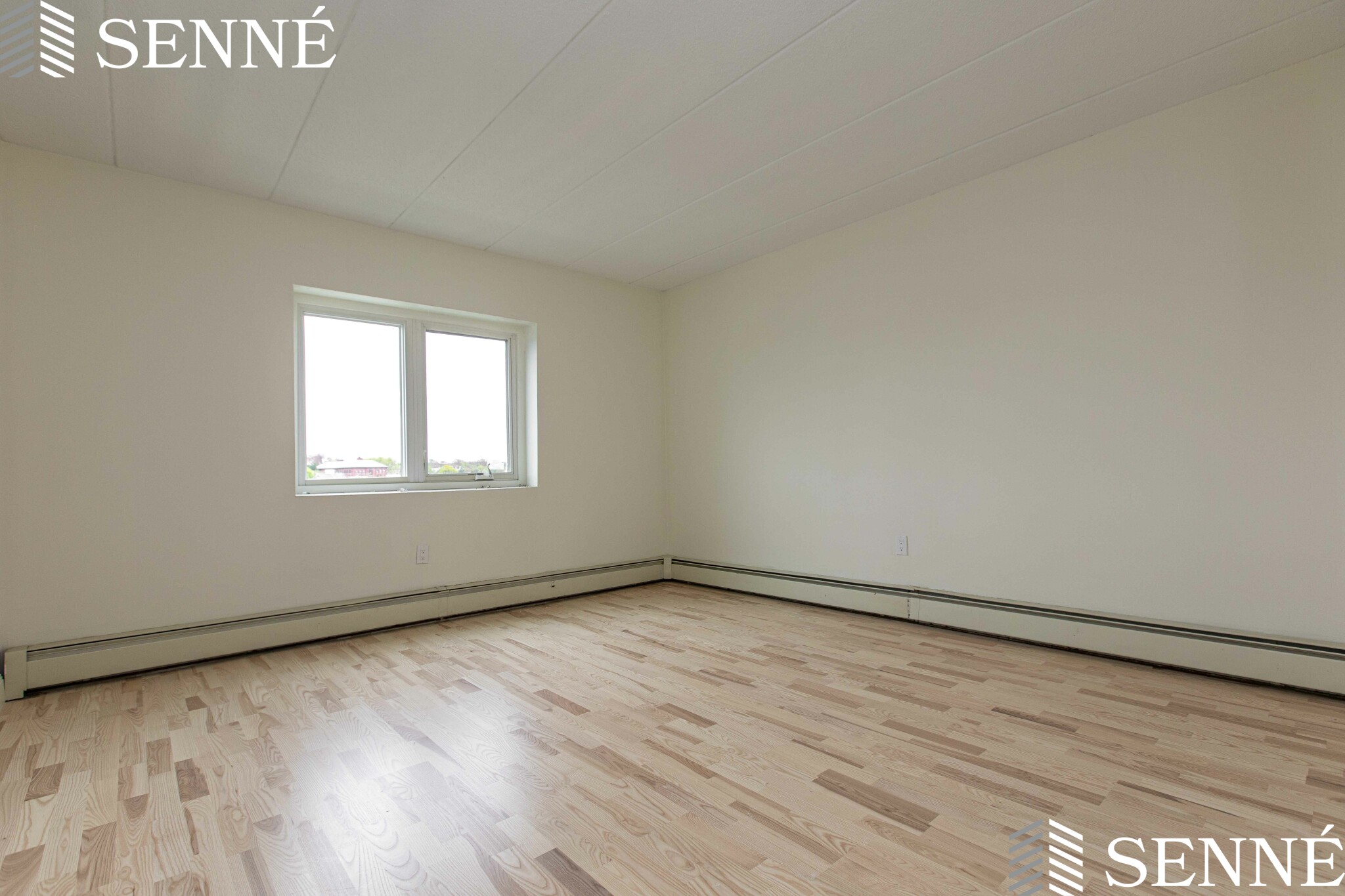 1 bed, 1 bath apartment for rent at 278 Beacon St Unit 41, Somerville — photo 3 of 7