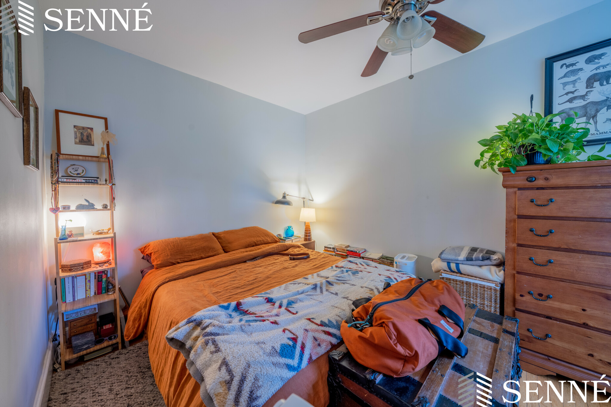 1 bed, 1 bath apartment for rent at 124 Summer St Unit 5, Somerville — photo 7 of 10