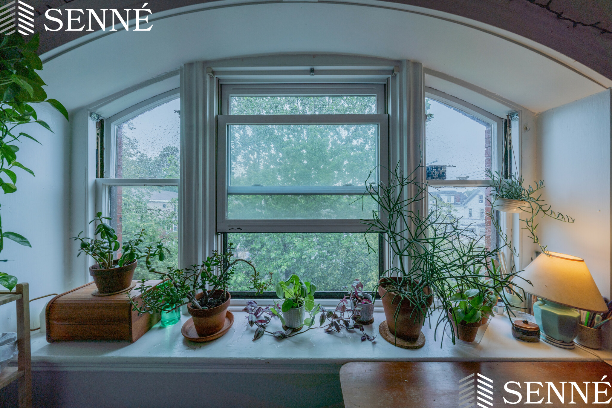 1 bed, 1 bath apartment for rent at 124 Summer St Unit 5, Somerville — photo 6 of 10