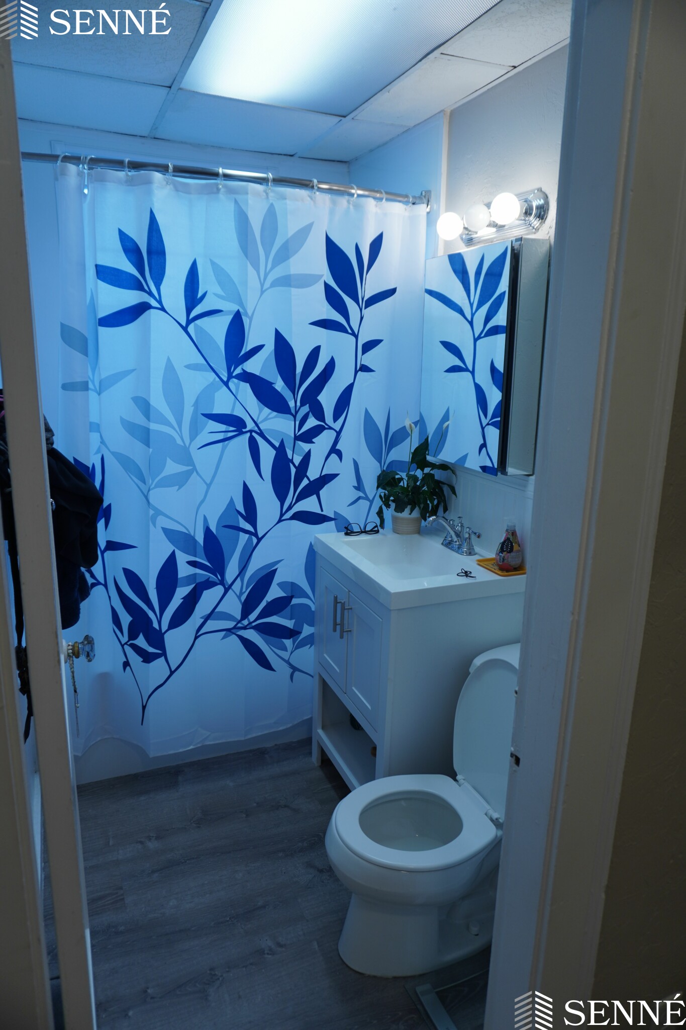 293 Spring St Extension, Medford