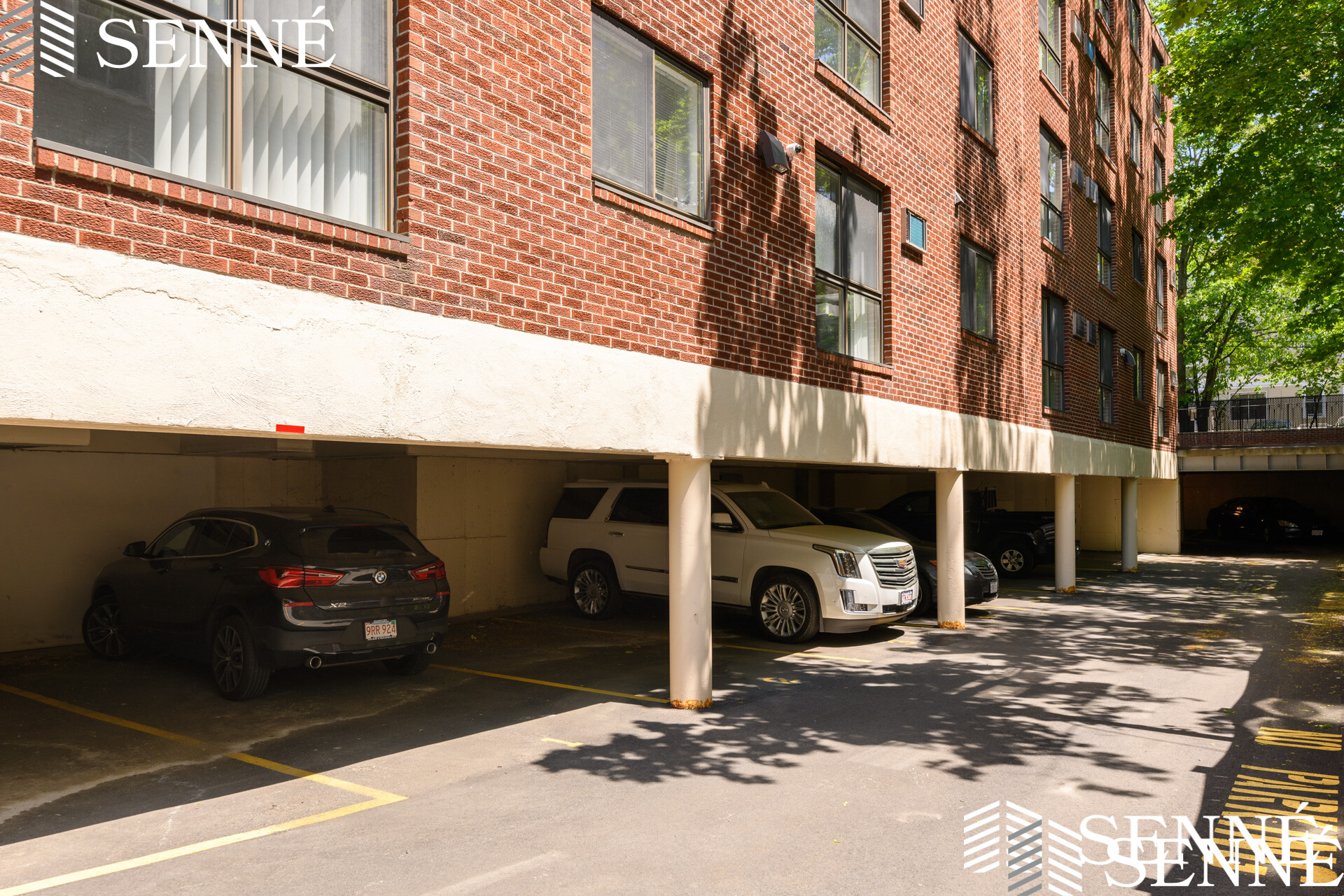 16 Trowbridge, Harvard Square