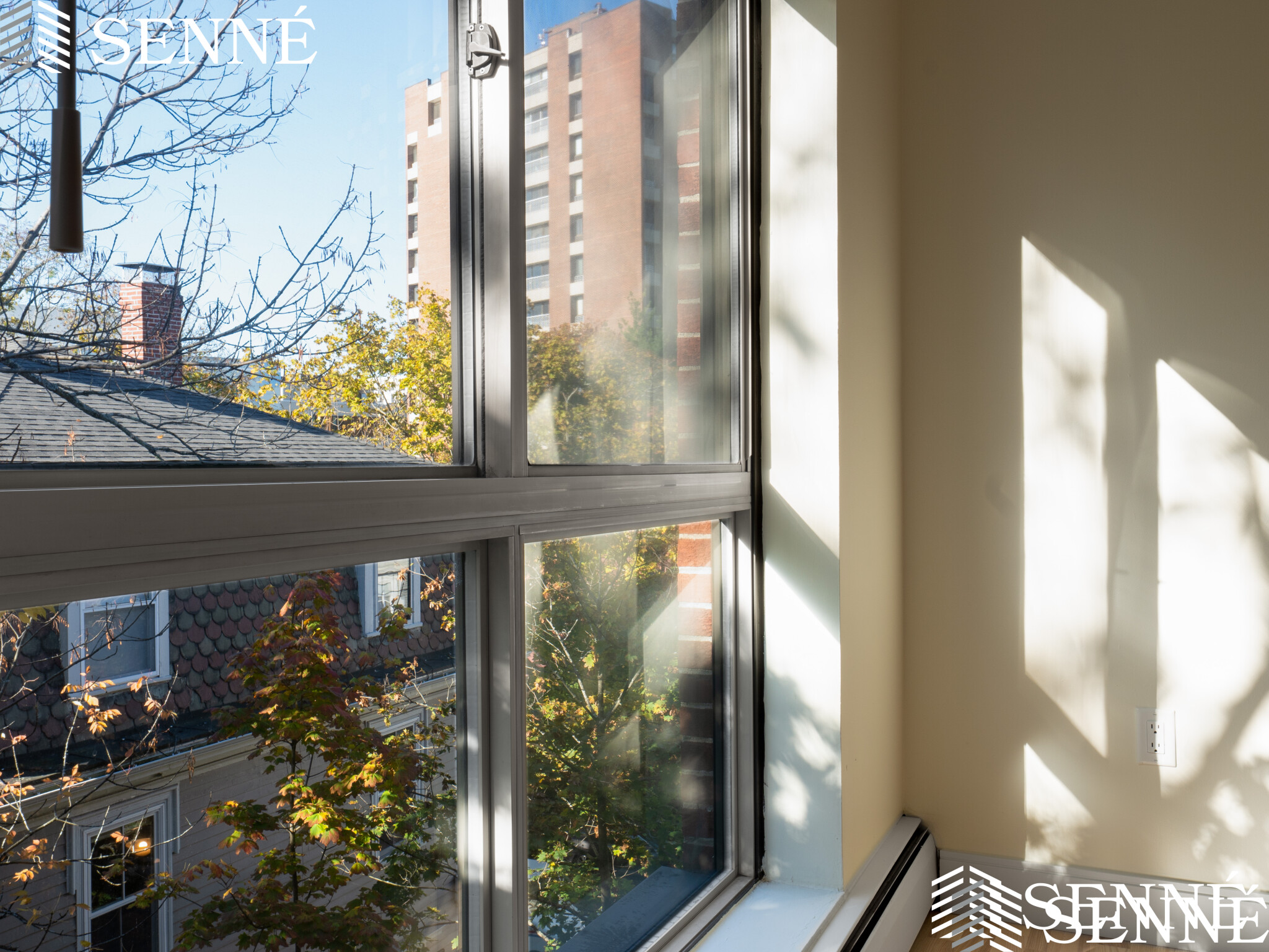 2 bed, 2 bath apartment for rent at 16 Trowbridge Unit 11, Cambridge — photo 4 of 13