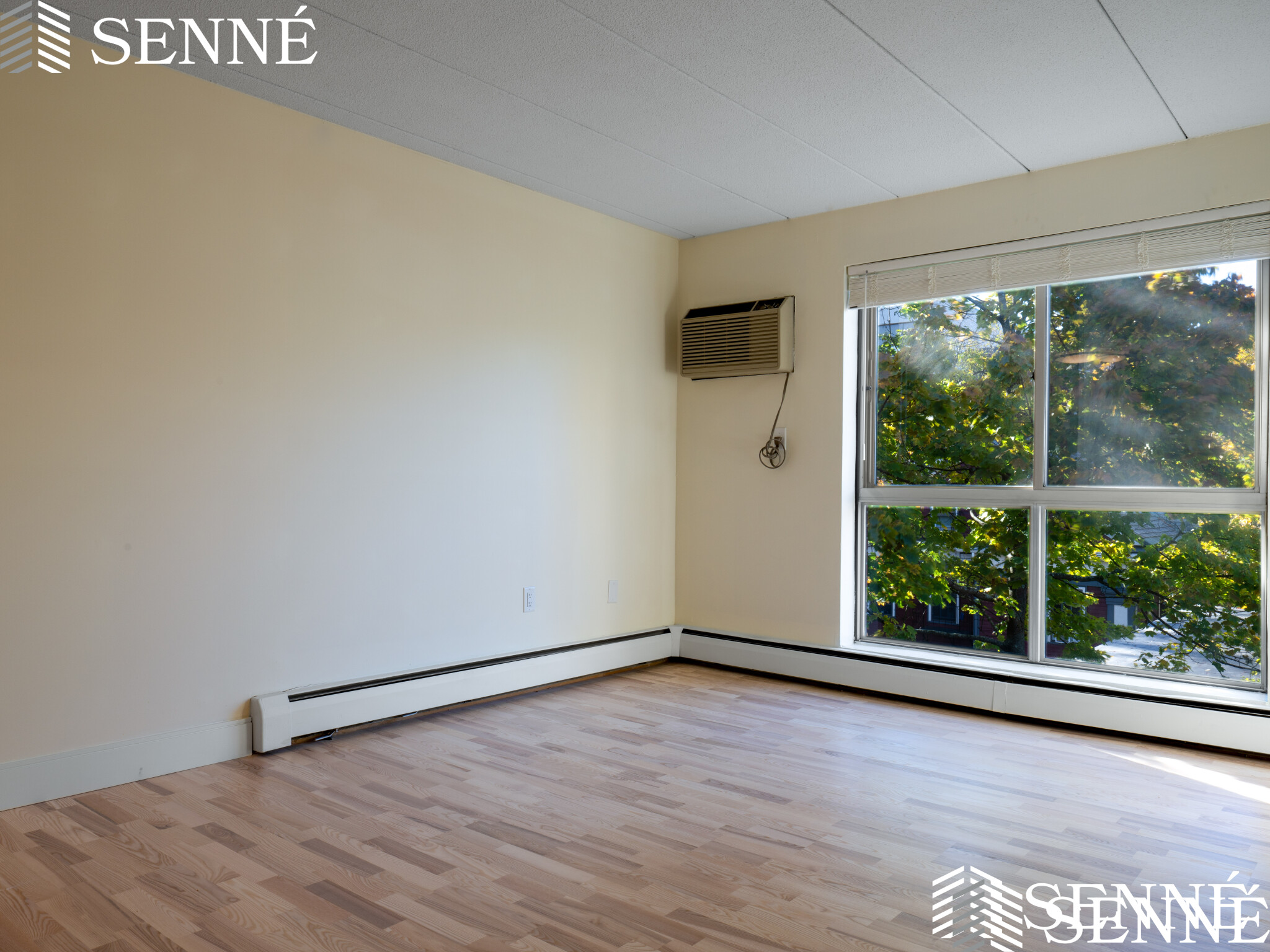 2 bed, 2 bath apartment for rent at 16 Trowbridge Unit 11, Cambridge — photo 5 of 13