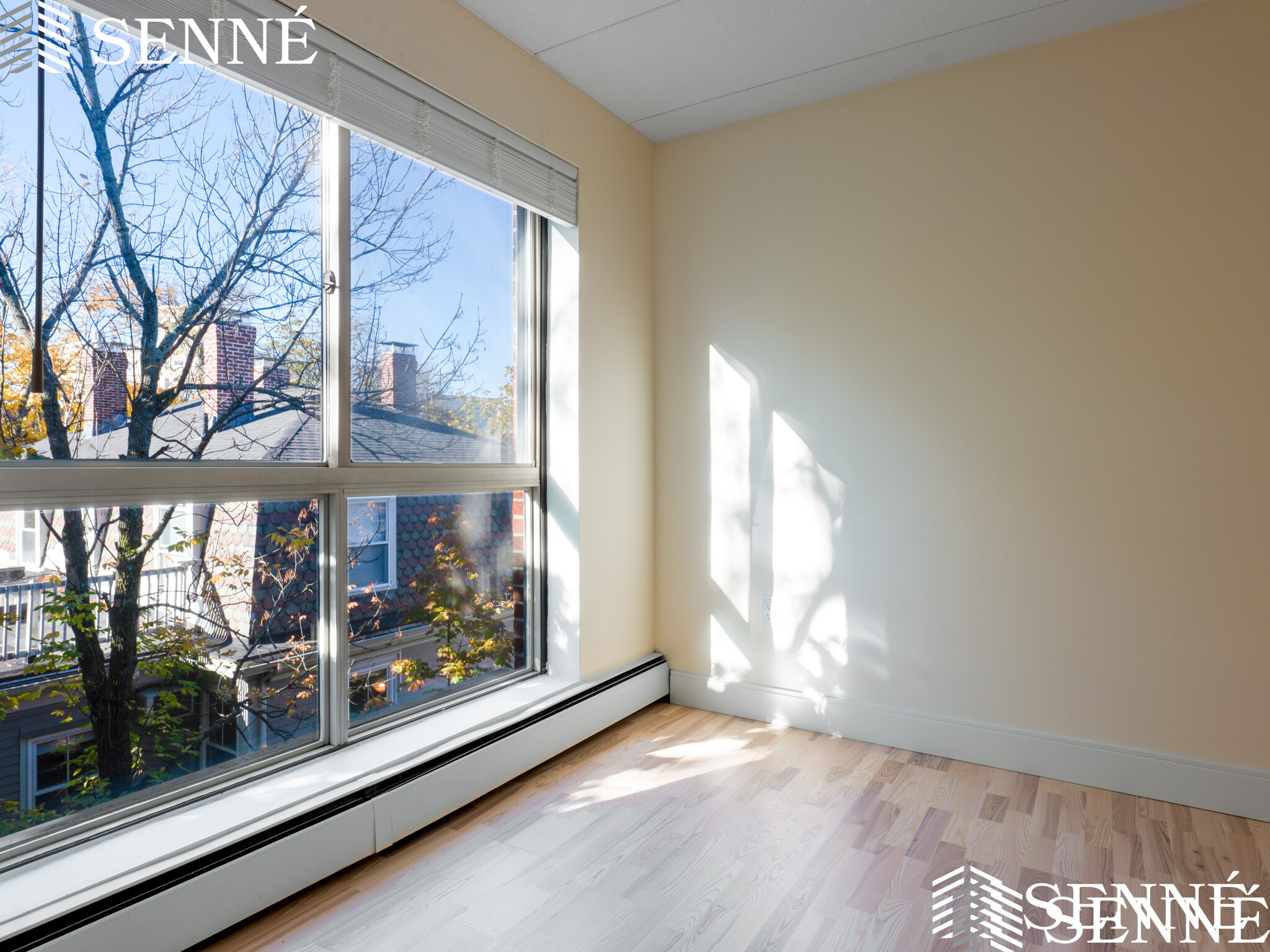 2 bed, 2 bath apartment for rent at 16 Trowbridge Unit 11, Cambridge — photo 3 of 13
