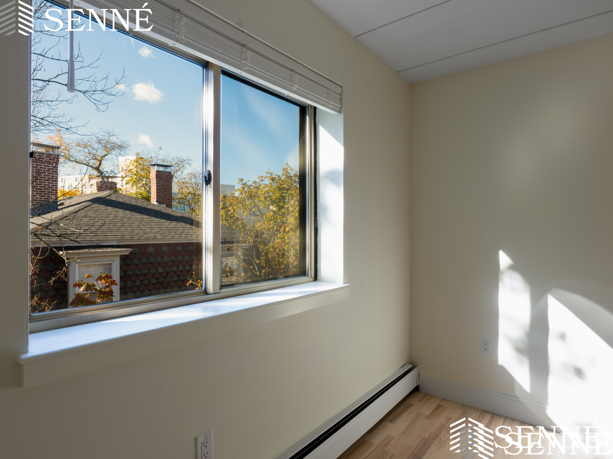 2 bed, 2 bath apartment for rent at 16 Trowbridge Unit 11, Cambridge — photo 6 of 13