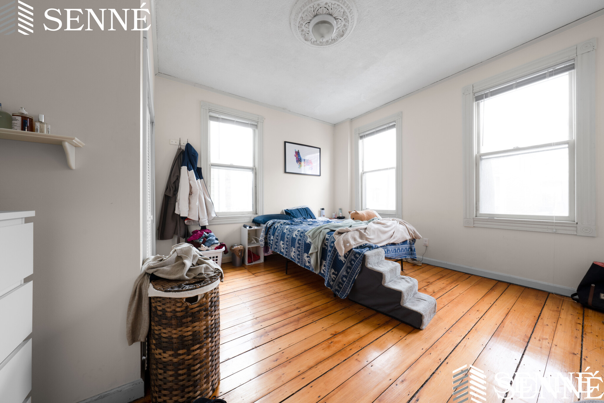 352 Norfolk St, Wellington-Harrington