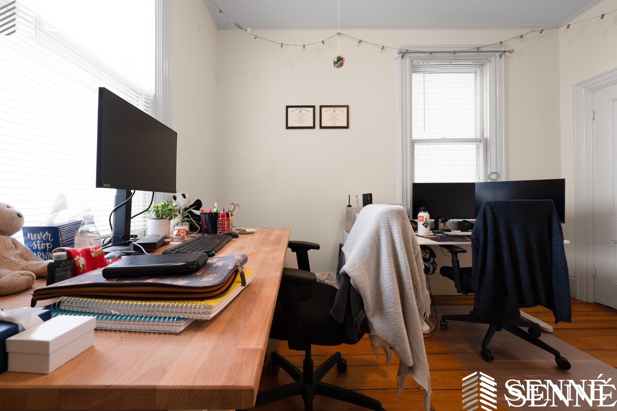 352 Norfolk St, Wellington-Harrington