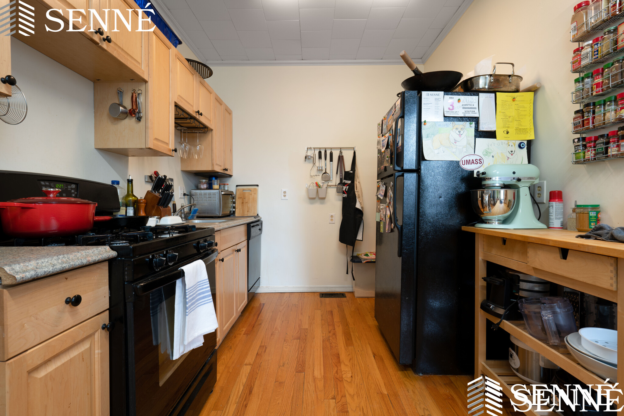 352 Norfolk St, Wellington-Harrington