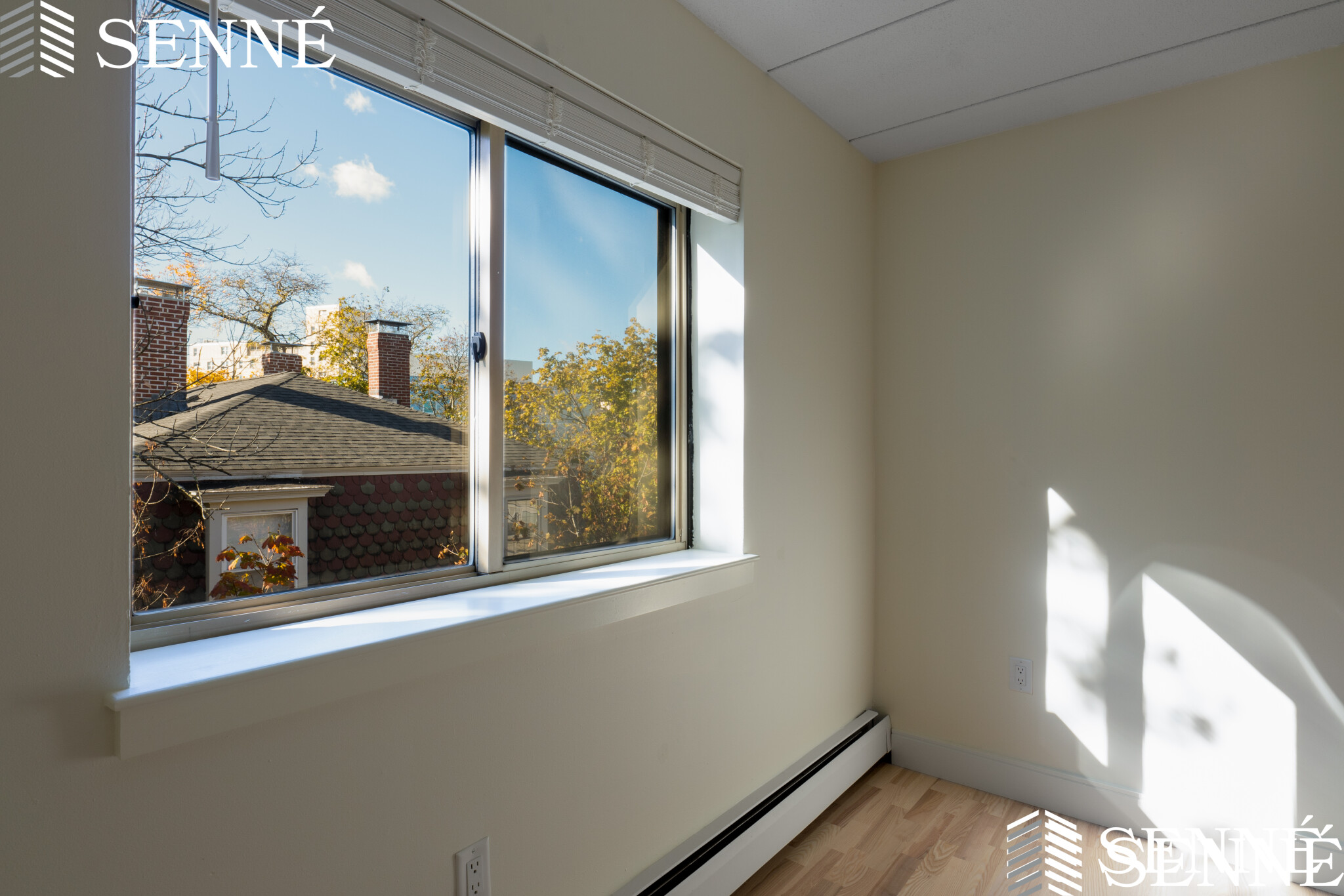 16 Trowbridge St, Harvard Square