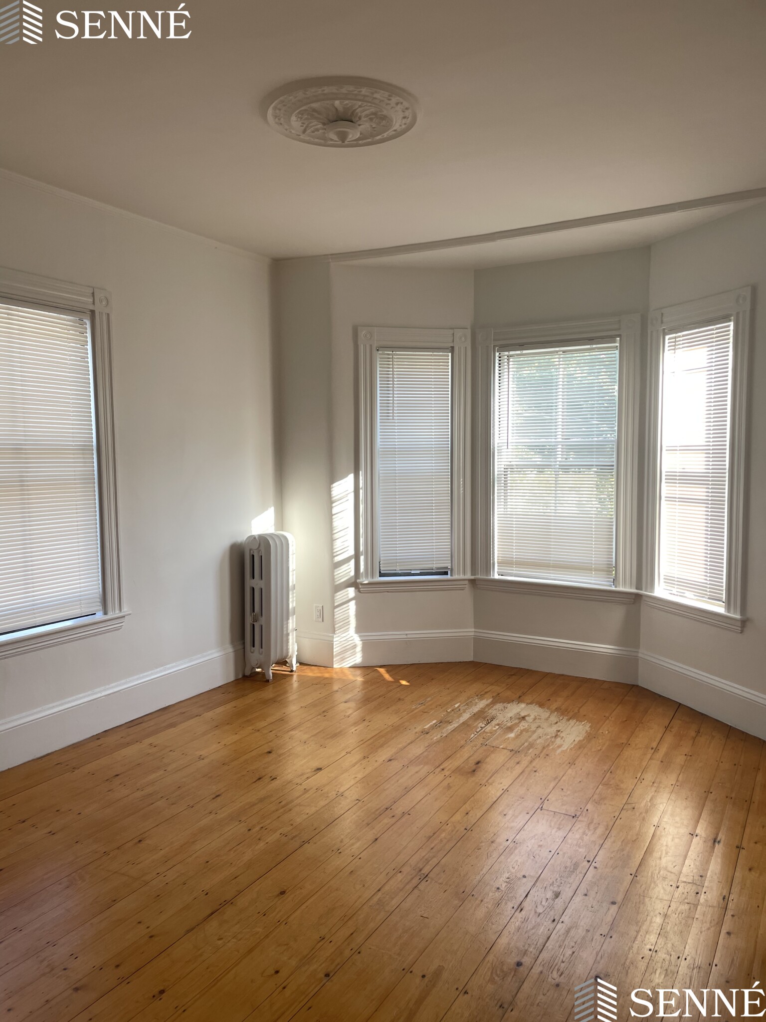 32 Healey St, Harvard Square