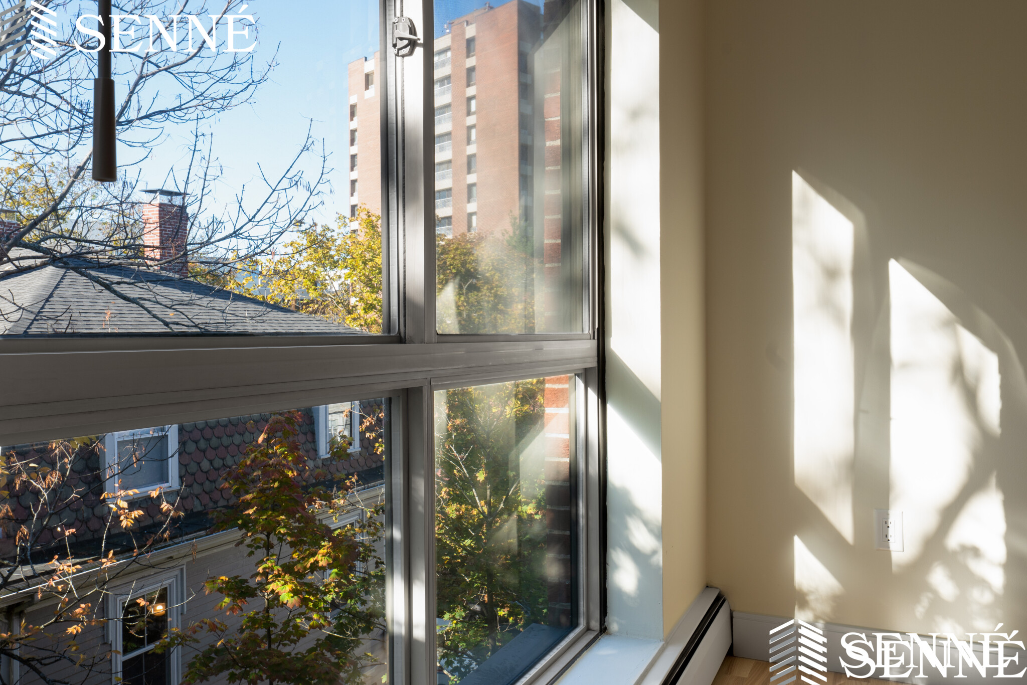 16 Trowbridge St, Harvard Square