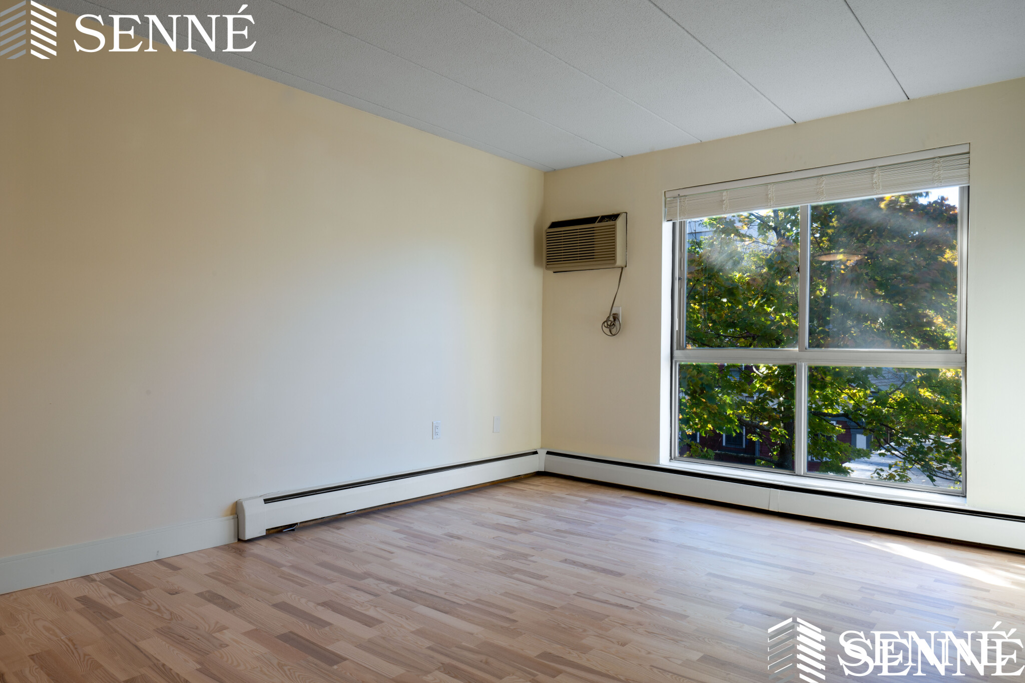 16 Trowbridge St, Harvard Square