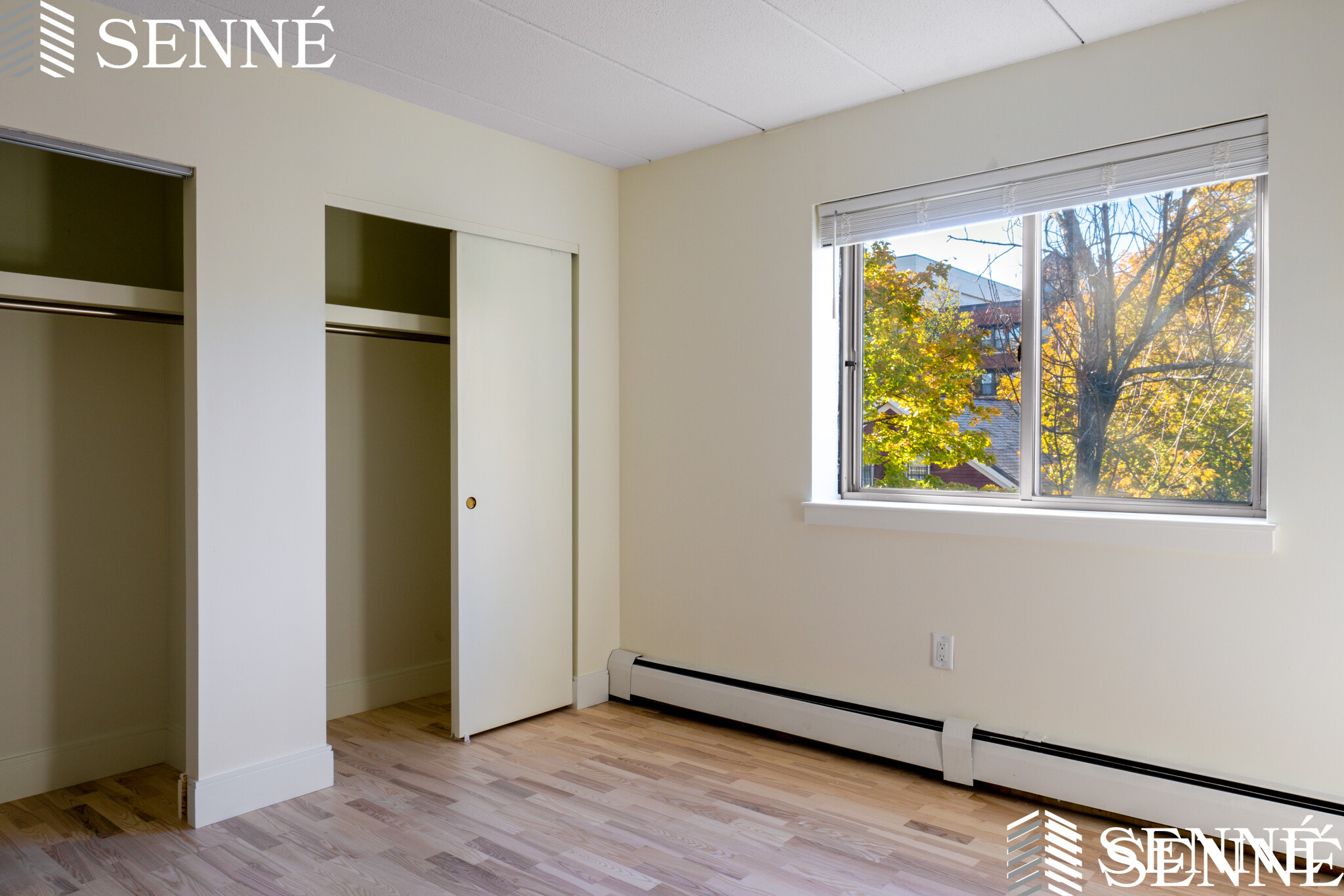 16 Trowbridge St, Harvard Square