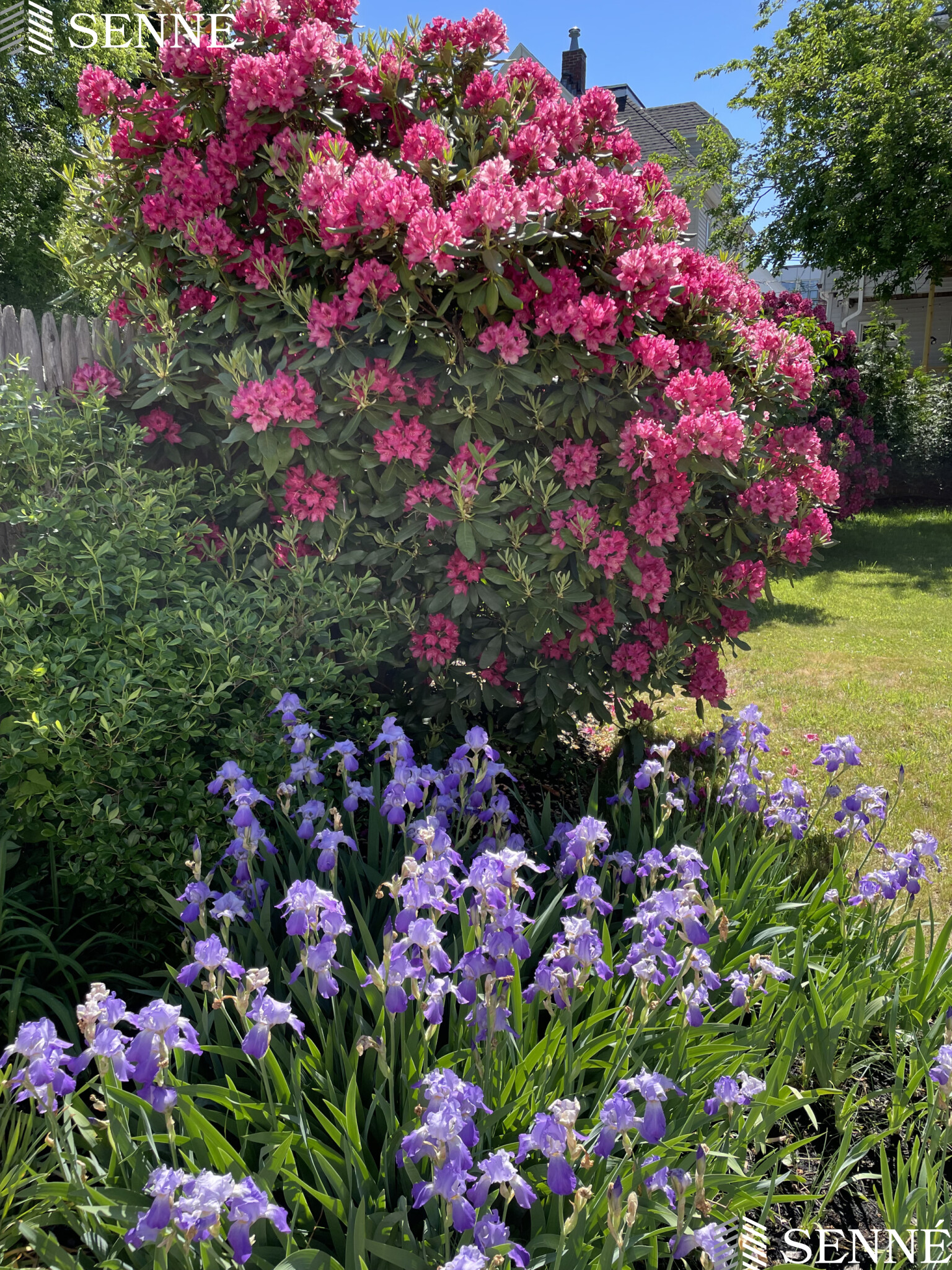 65 Moreland St, Magoun Square