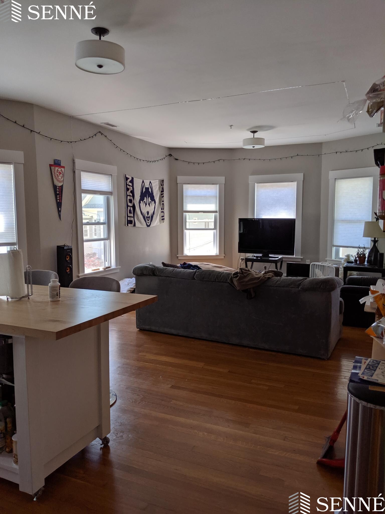 127 Hudson St, Davis Square