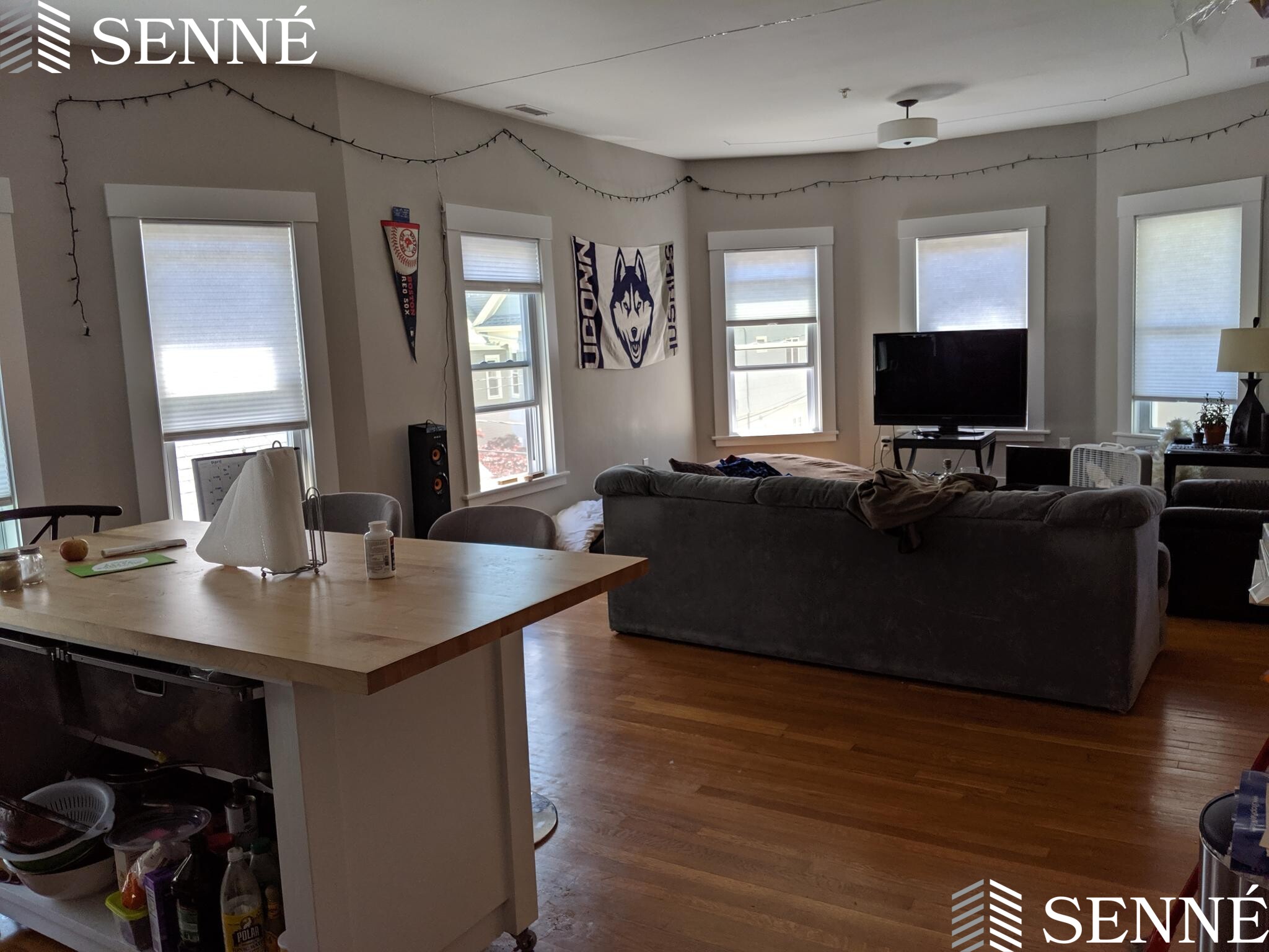 127 Hudson St, Davis Square