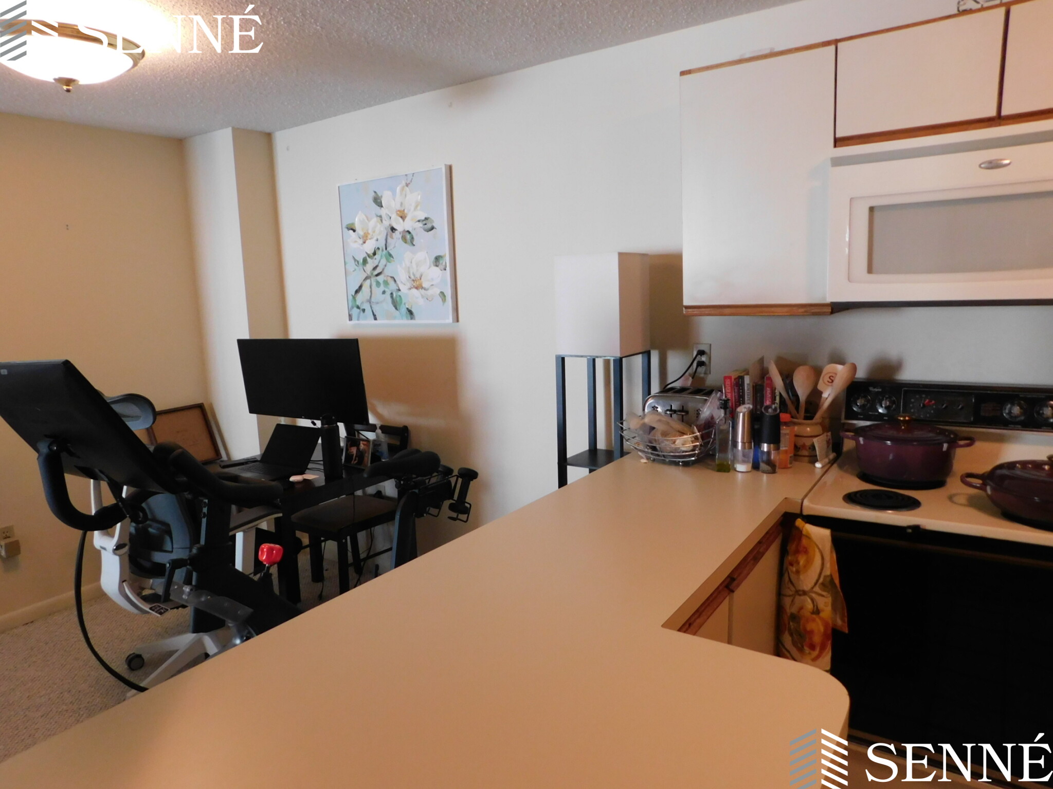 23 Elm St, Somerville