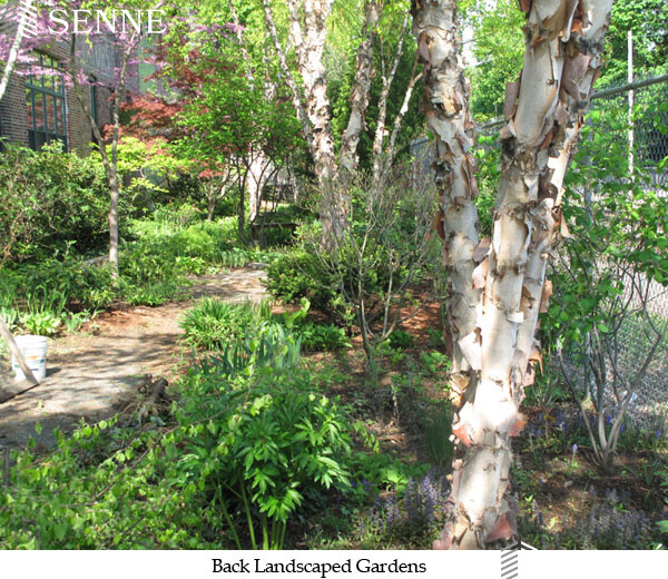 75 Richdale Ave, Porter Square