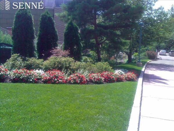 700 Huron Ave, Huron Village