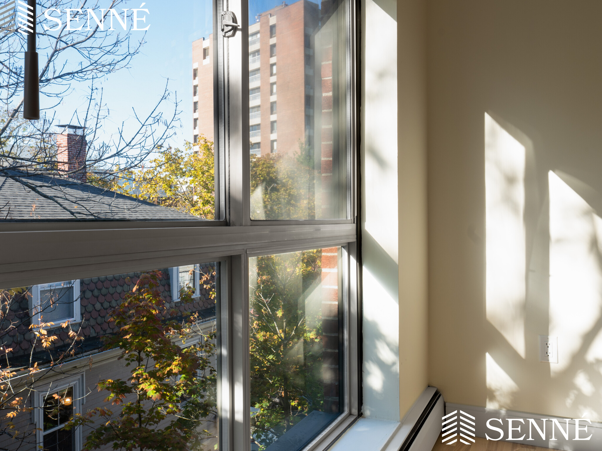 16 Trowbridge St, Harvard Square