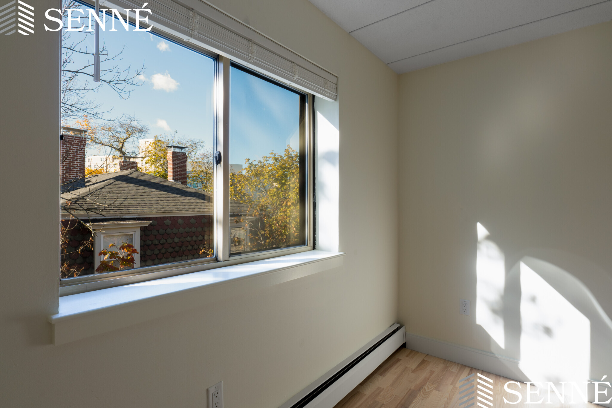 16 Trowbridge St, Harvard Square