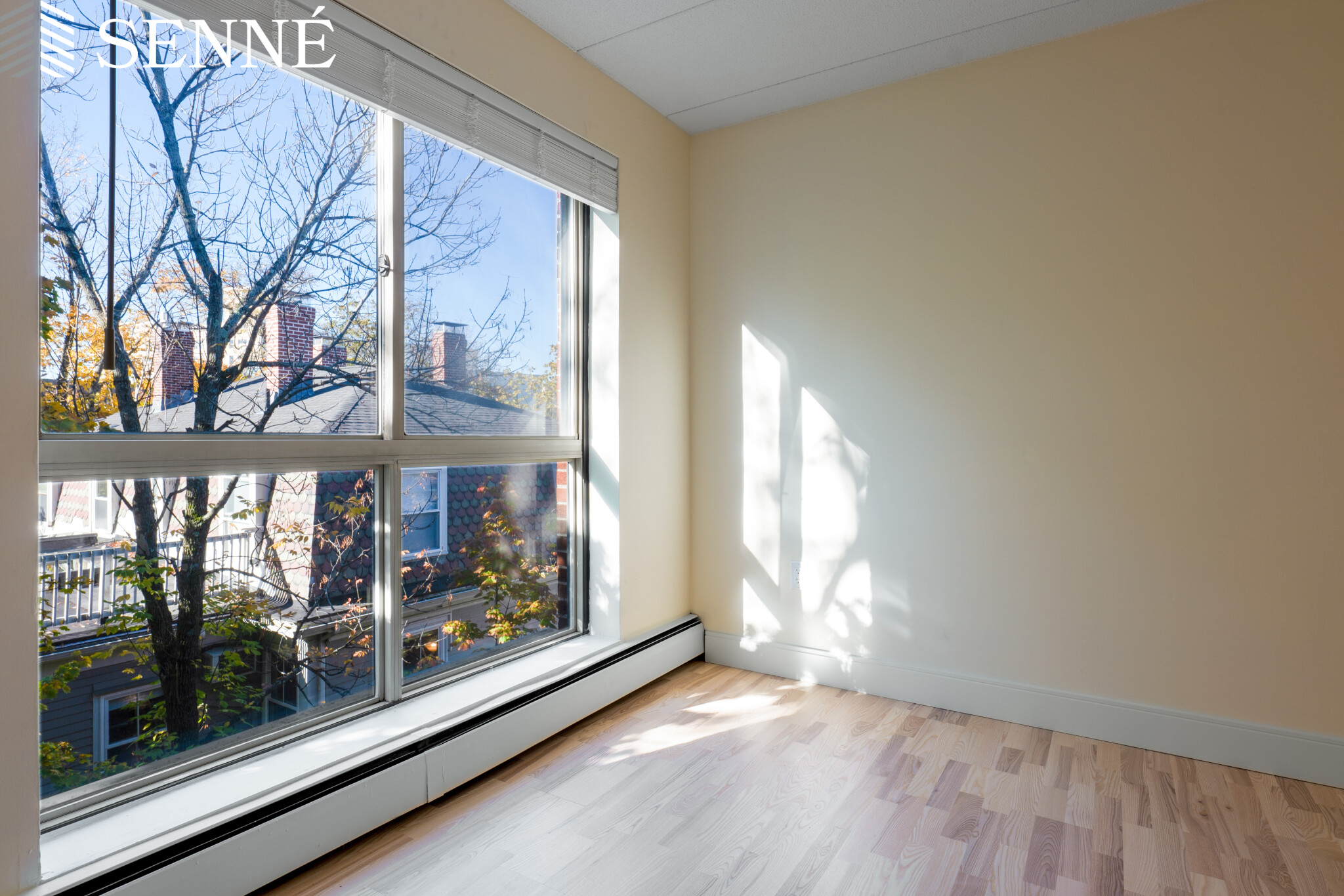 16 Trowbridge St, Harvard Square