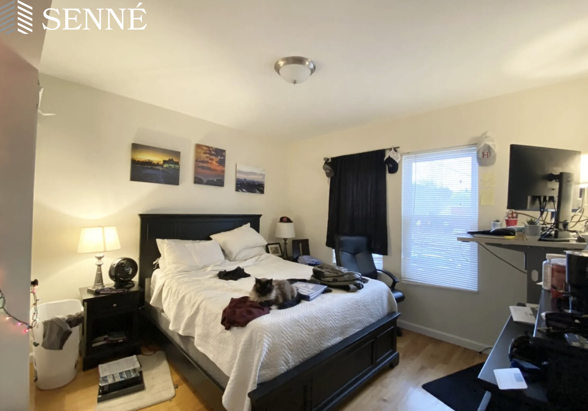 21 23 Weitz St, Allston