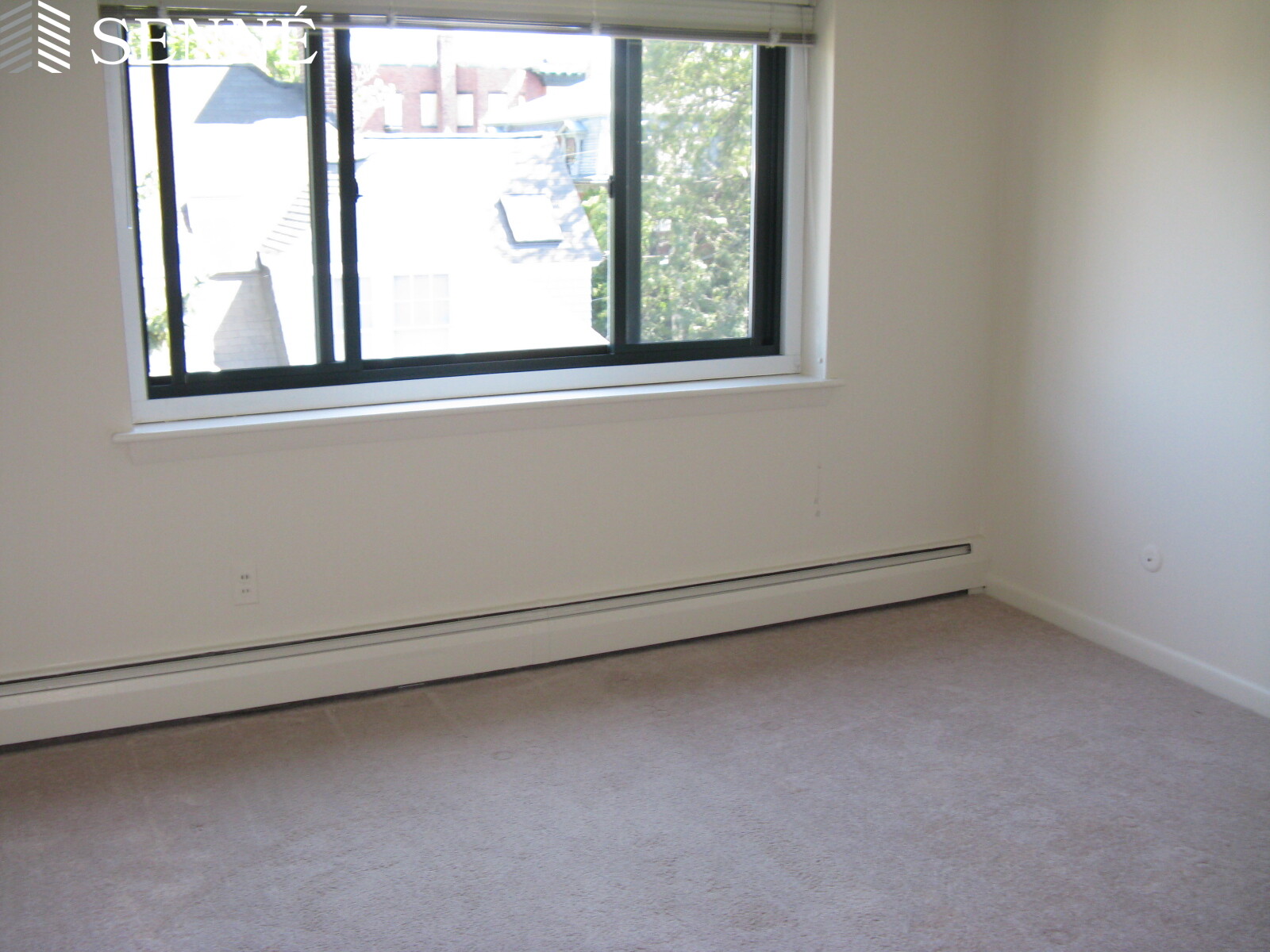 375 Harvard St, Harvard Square