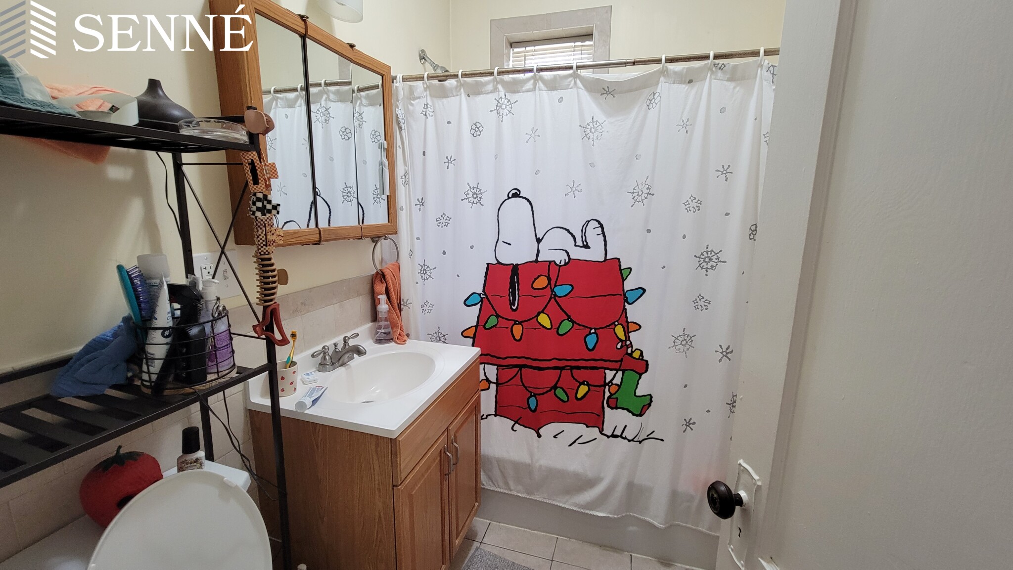 6 Sherborn Ct, Medford